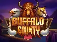 1xbet bonus fara depunere